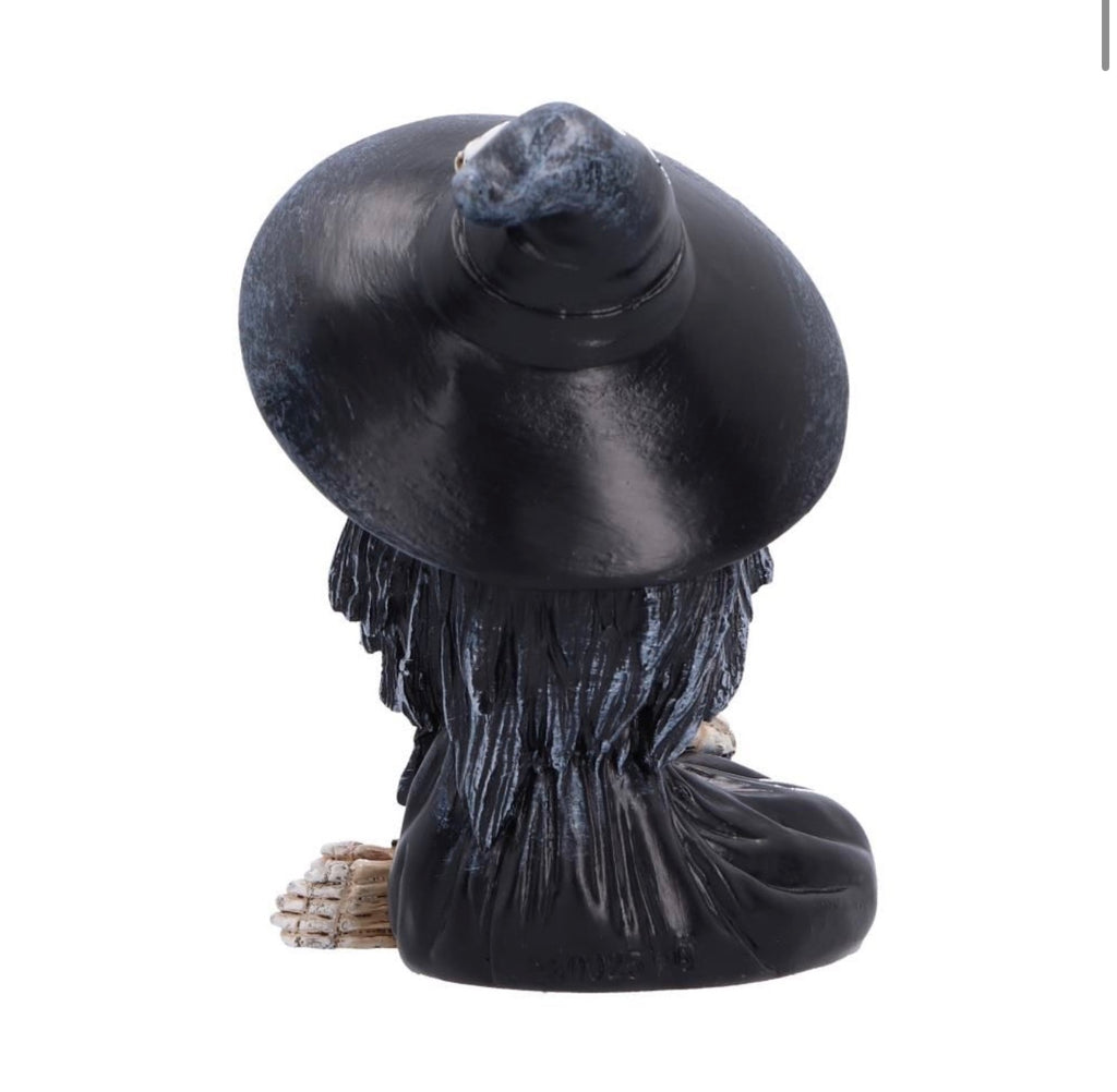 Hexabelle Skeleton Witch Ornament 8.8cm