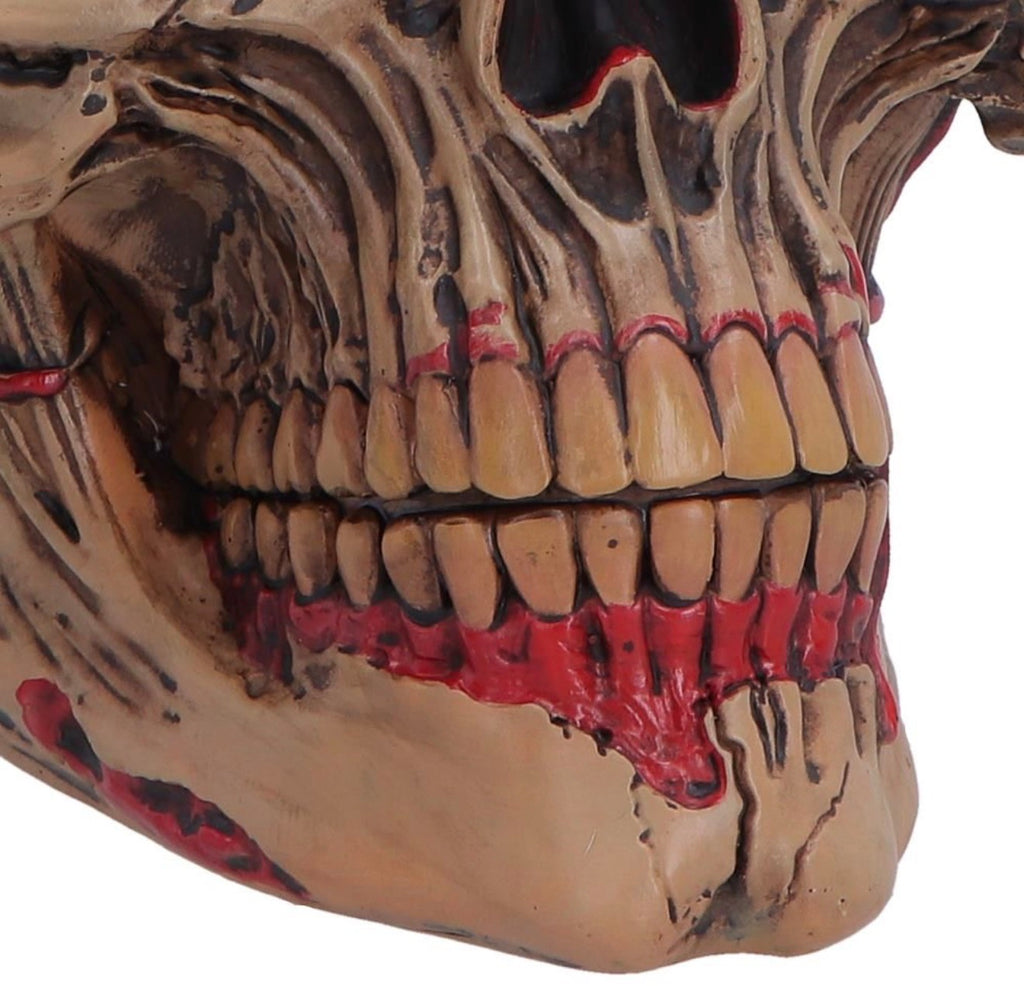 Hall of Horrors: The Walker of Death Zombie Skull 15.5cm