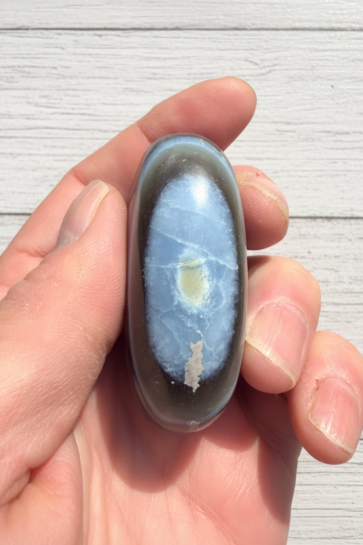Owyhee Blue Opal Palmstone 83 grams BOP04