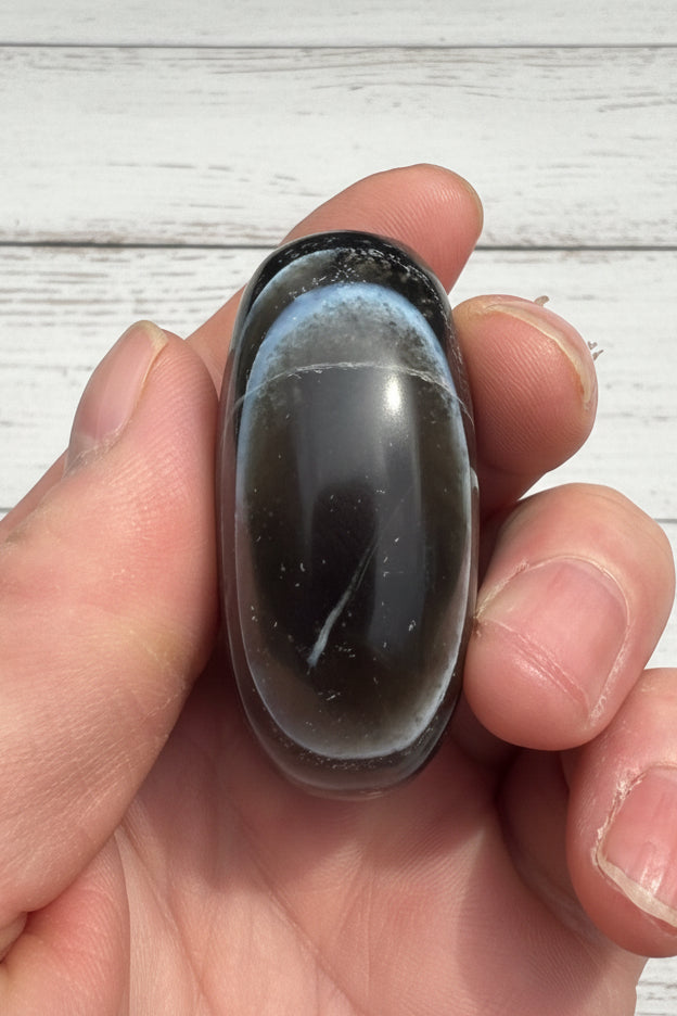 Owyhee Blue Opal Palmstone 75 grams BOP08