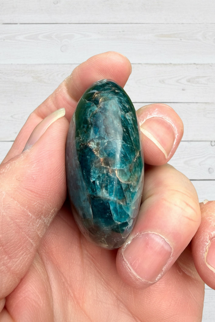 Blue Apatite Palmstone 90 grams NBAP08