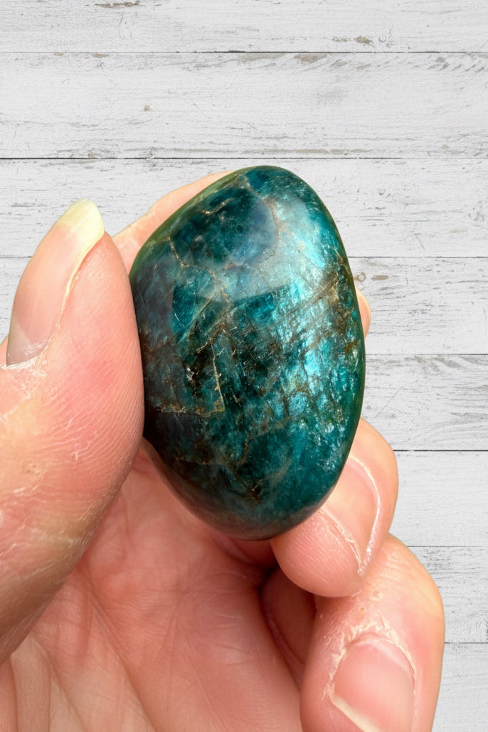 Blue Apatite Palmstone 83 grams NBAP09