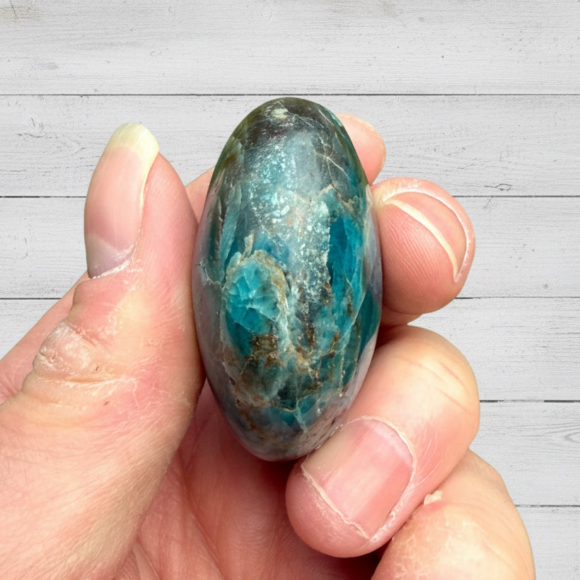 Blue Apatite Palmstone 90 grams NBAP08