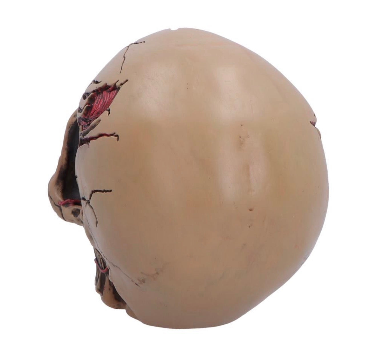 Hall of Horrors: The Walker of Death Zombie Skull 15.5cm