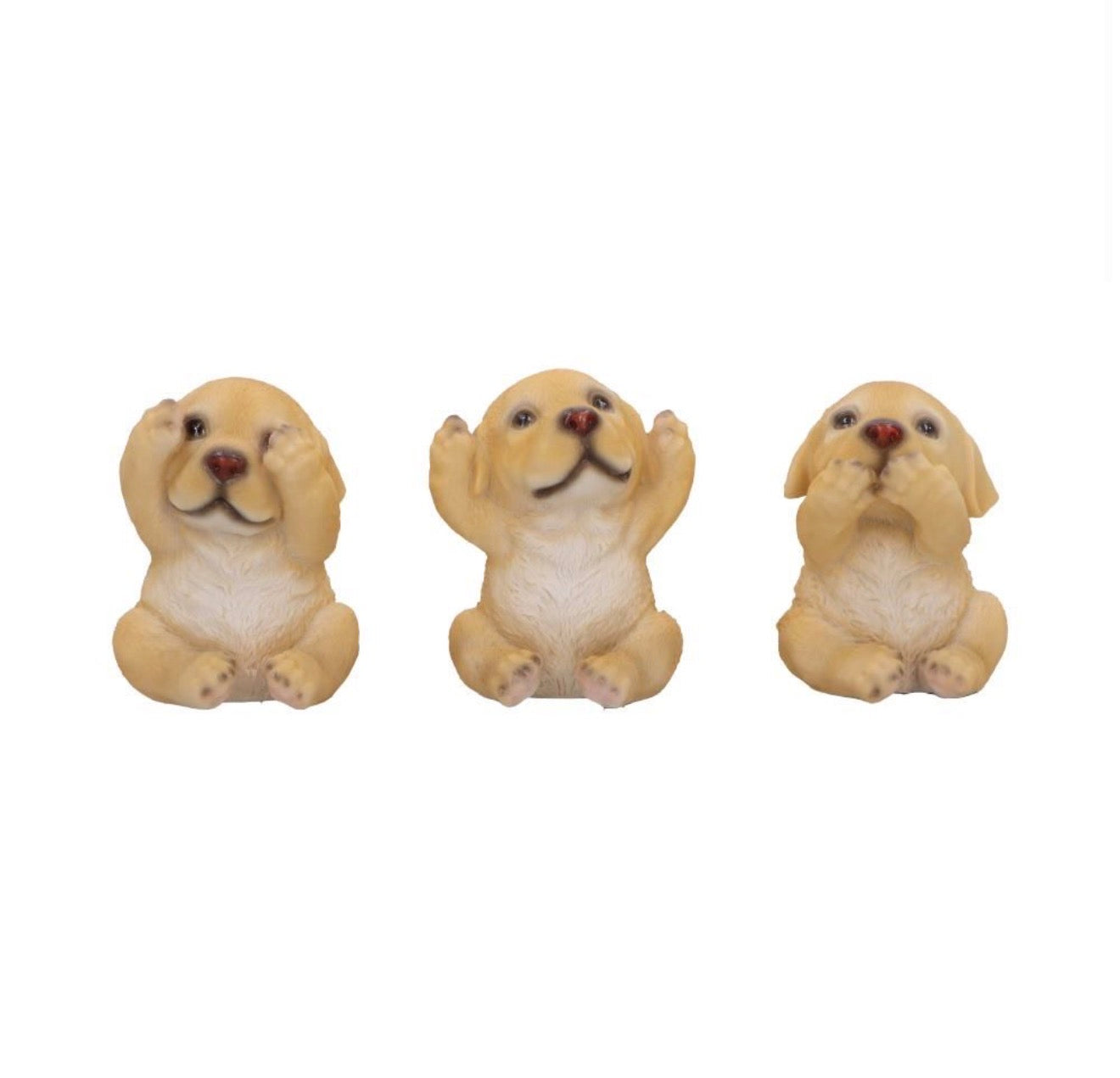 Three Wise Golden Labradors See No Evil Set 7.5cm