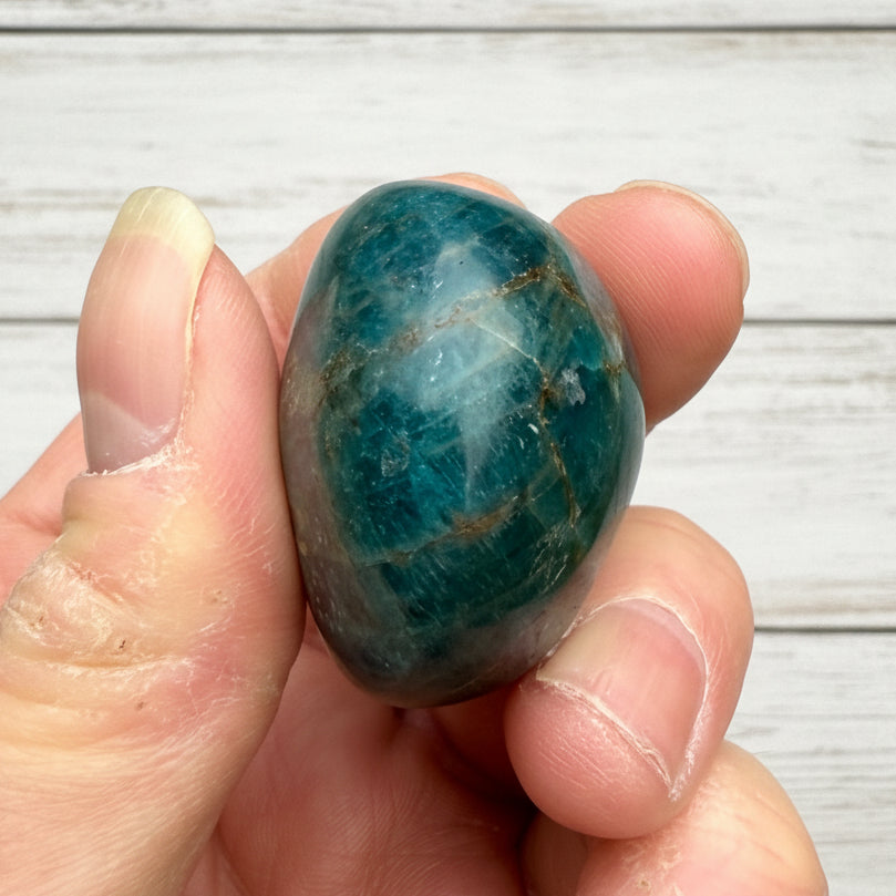 Blue Apatite Palmstone 80 grams NBAP10