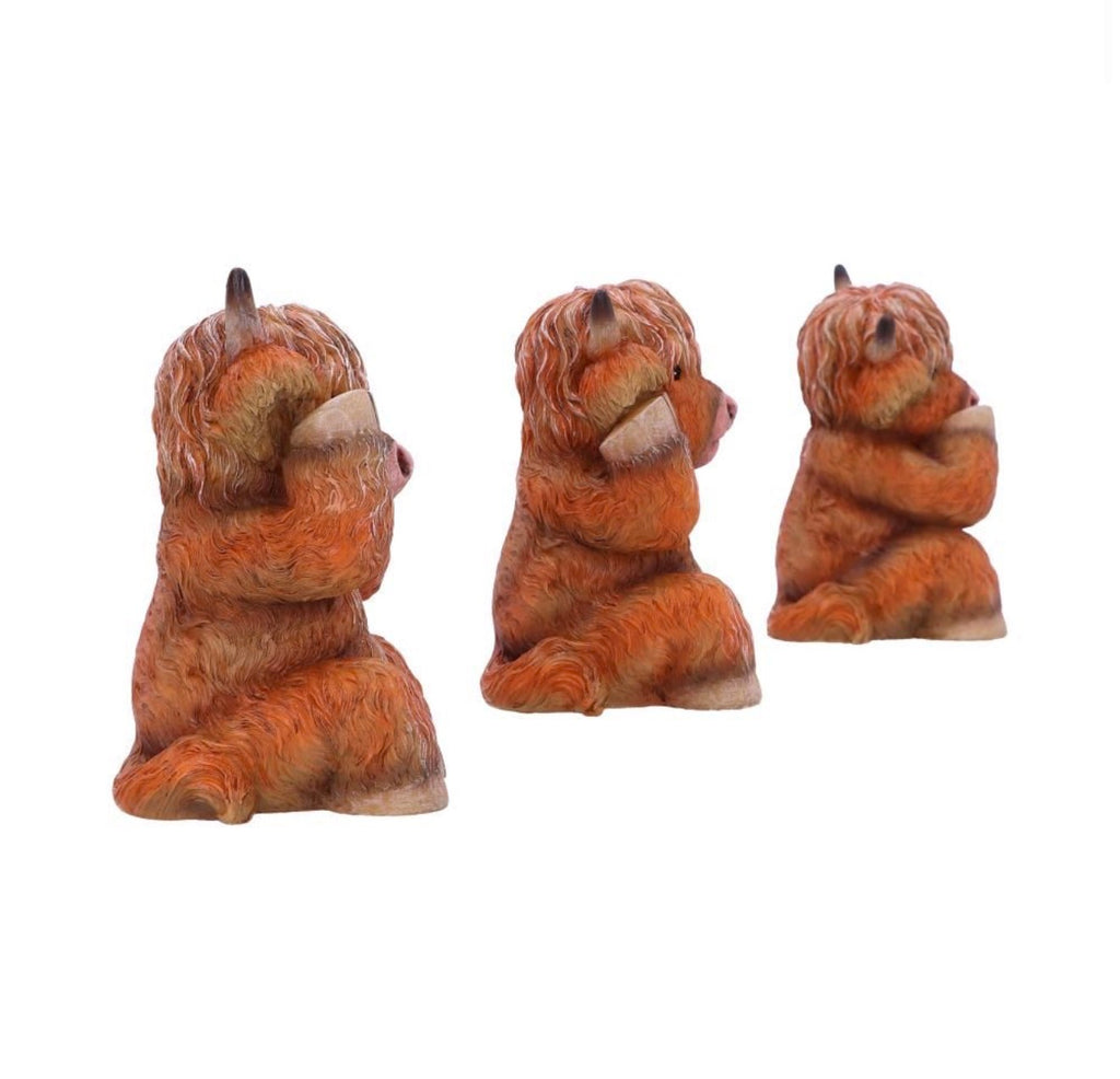 Three Wise highland Cows set of 3 9.6cm