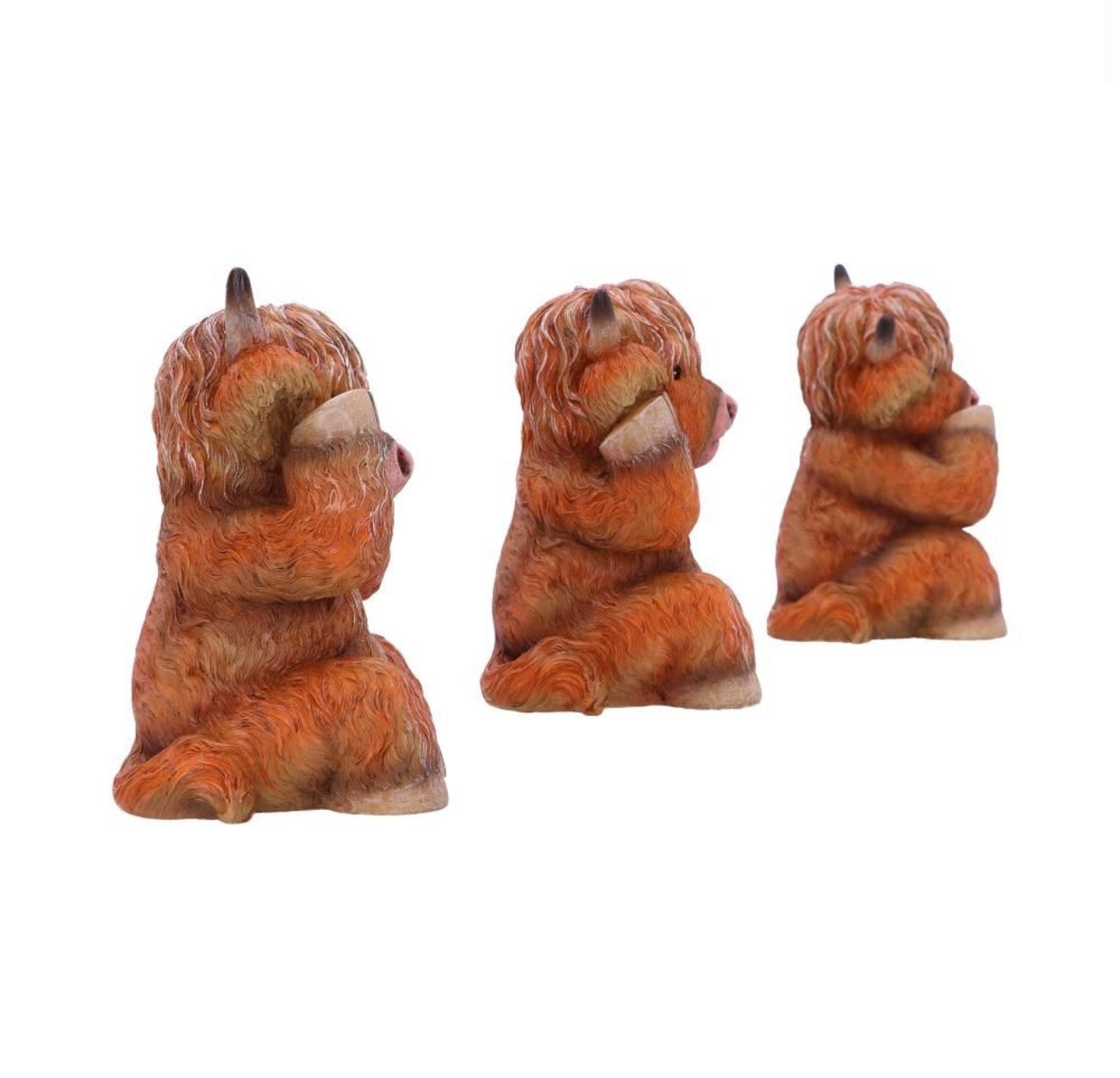 Three Wise highland Cows set of 3 9.6cm