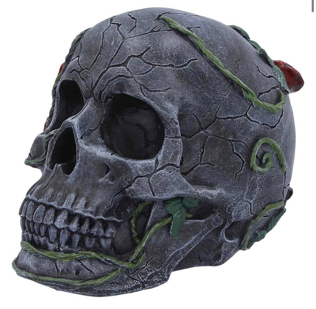 Twilight Bloom Skull with Roses 15.6cm