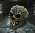 Reptilian Skull 17cm
