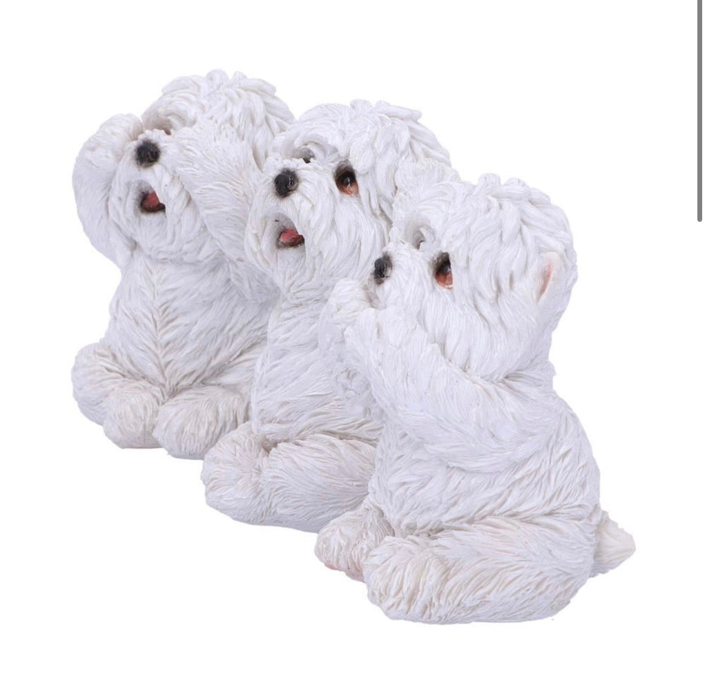 Three Wise Westies See No Evil Set 8cm