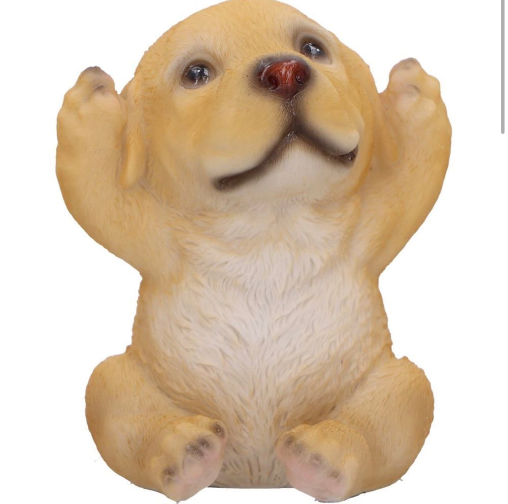 Three Wise Golden Labradors See No Evil Set 7.5cm
