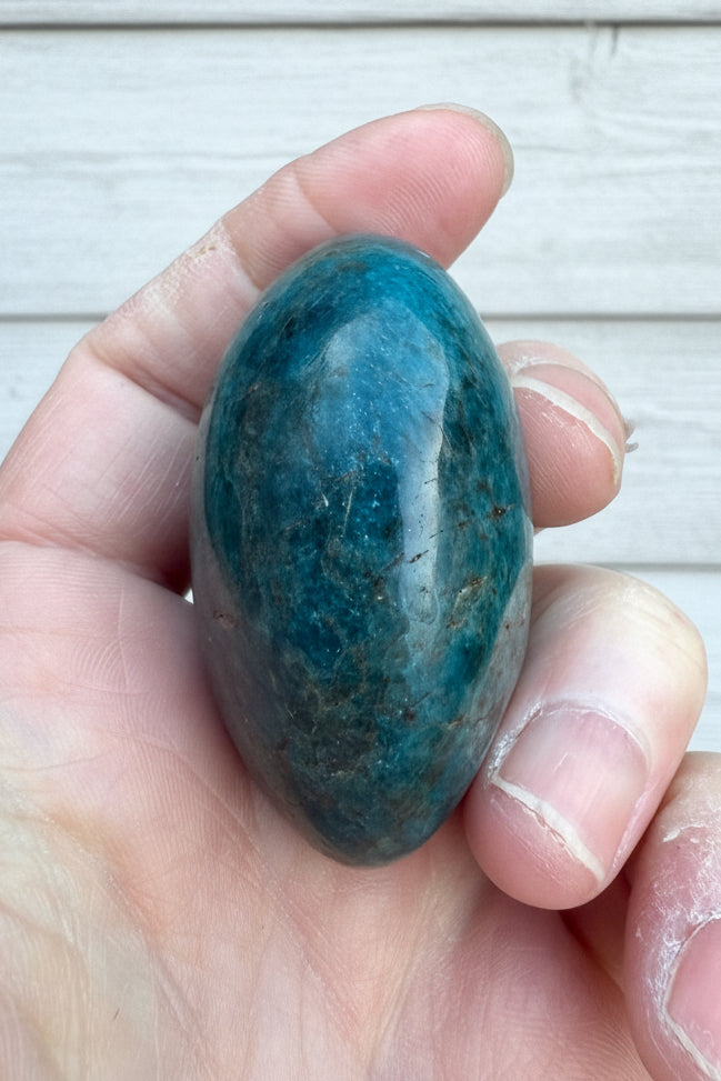 Blue Apatite Palmstone 98 grams NBAP06