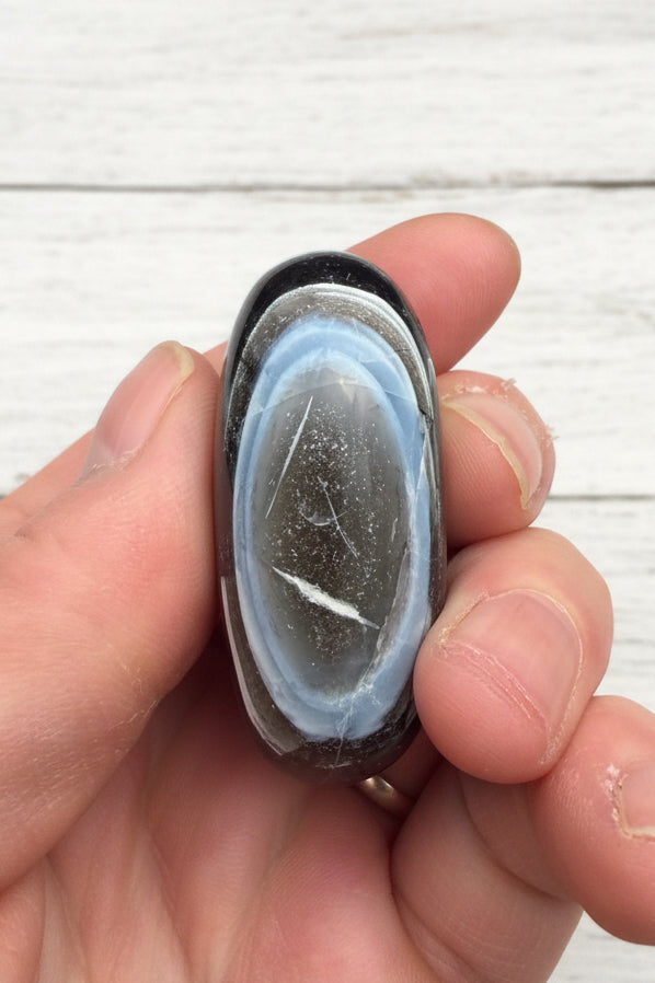 Owyhee Blue Opal Palmstone 67 grams BOP10
