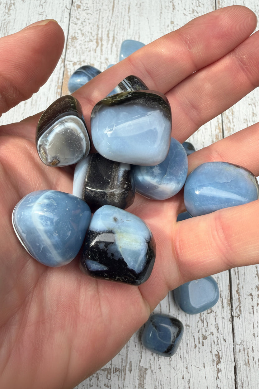 Owyhee Blue Opal Tumblestone 2-3 cm