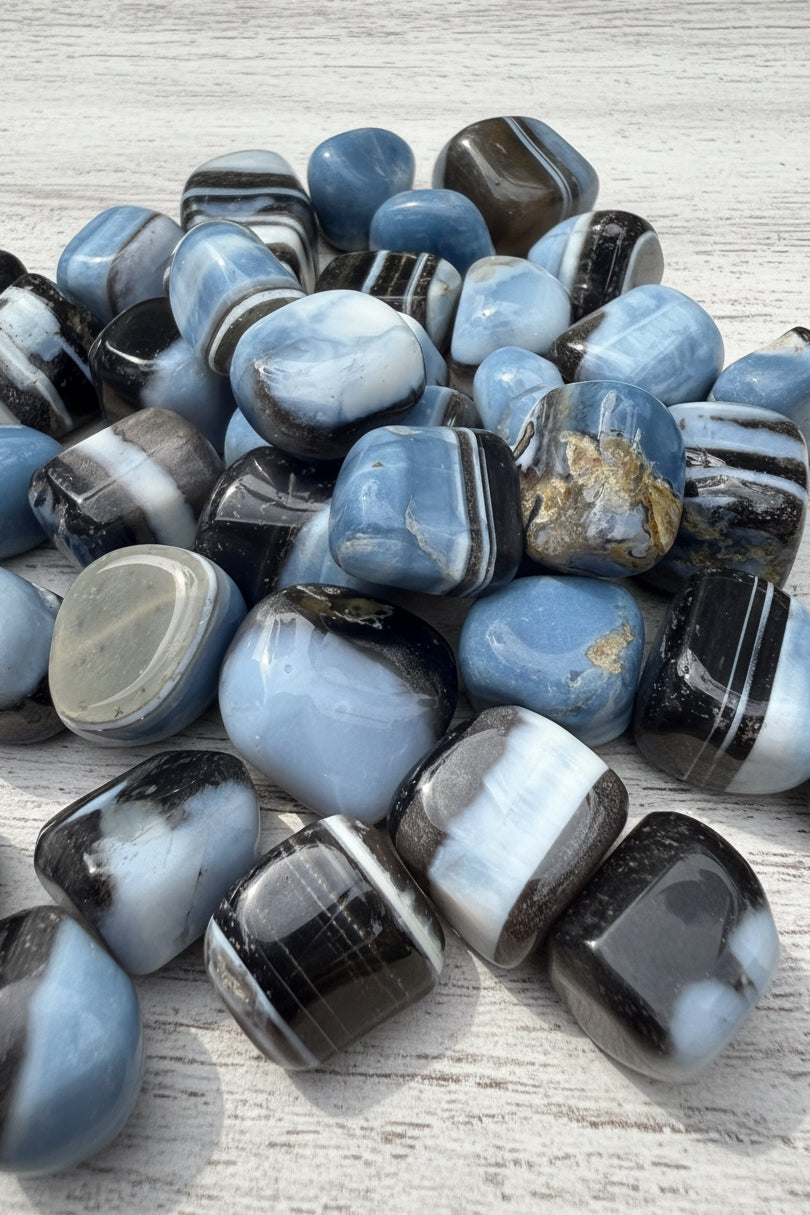 Owyhee Blue Opal Tumblestone 2-3 cm