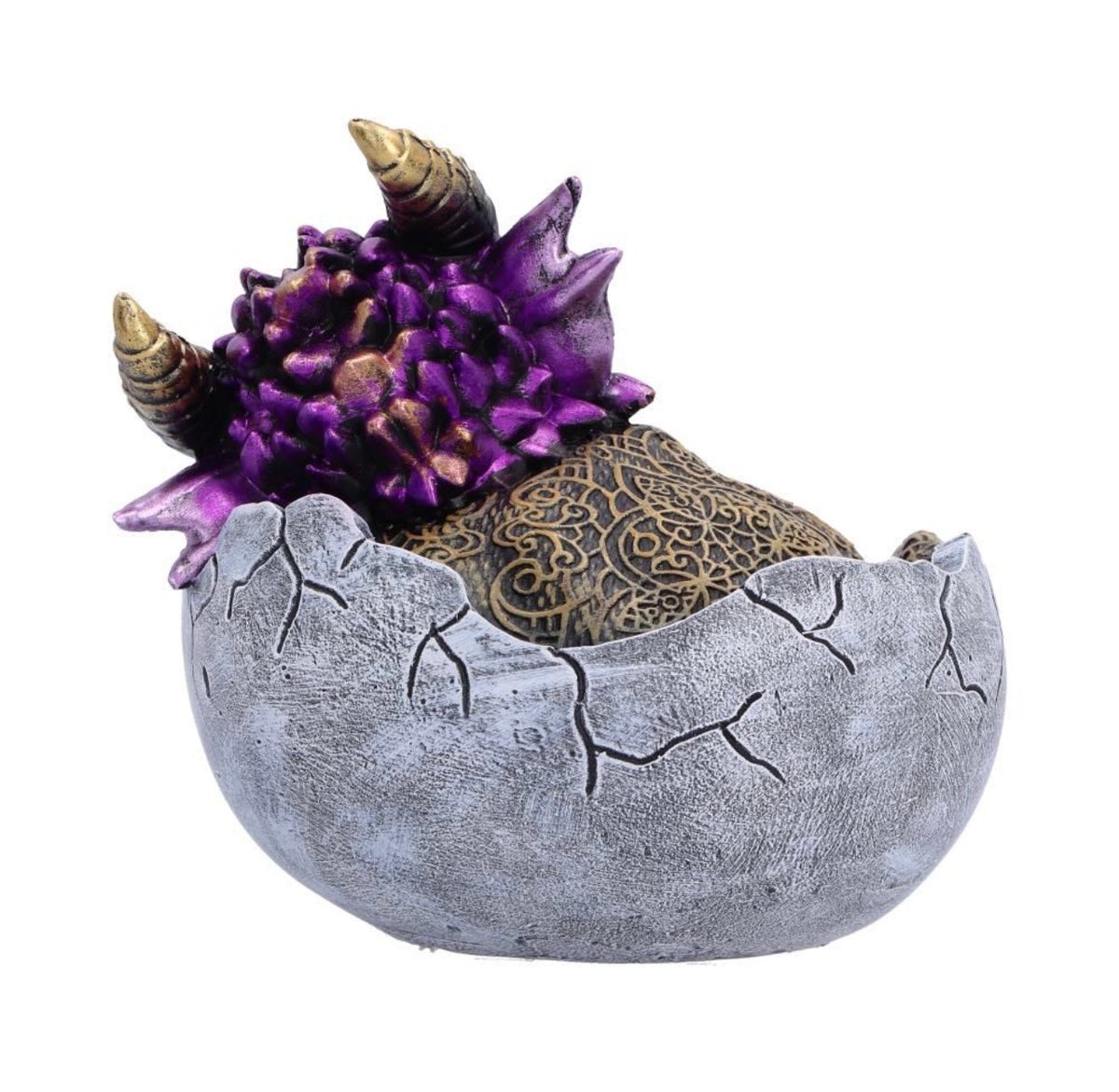 Shellbound Slumber Baby Dragon Ornament 9.5cm
