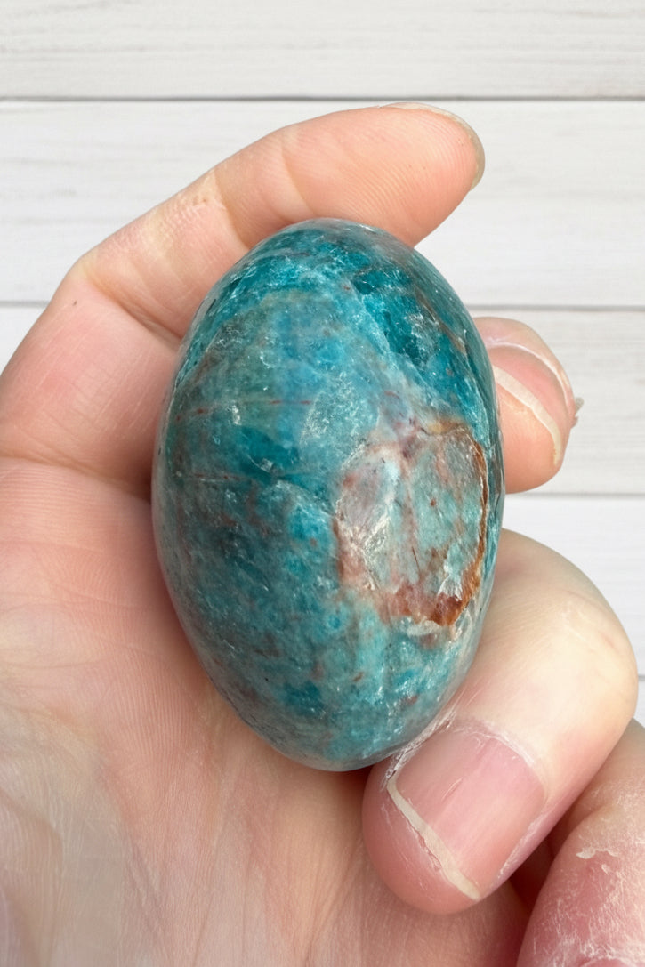 Blue Apatite Palmstone 125 grams NBAP03
