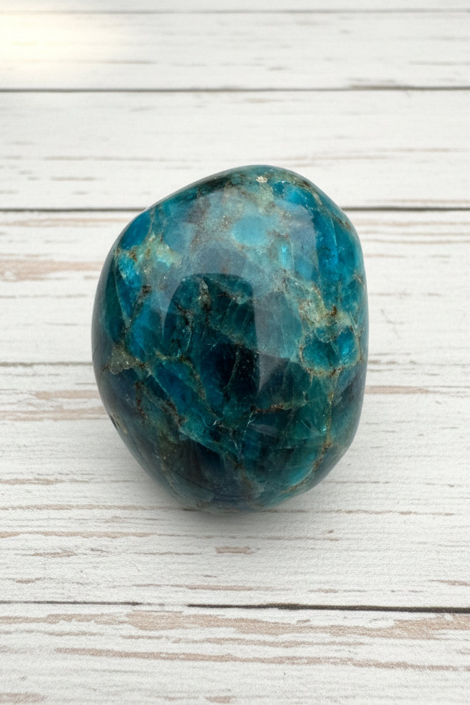 Blue Apatite Palmstone 78 grams NBAP11