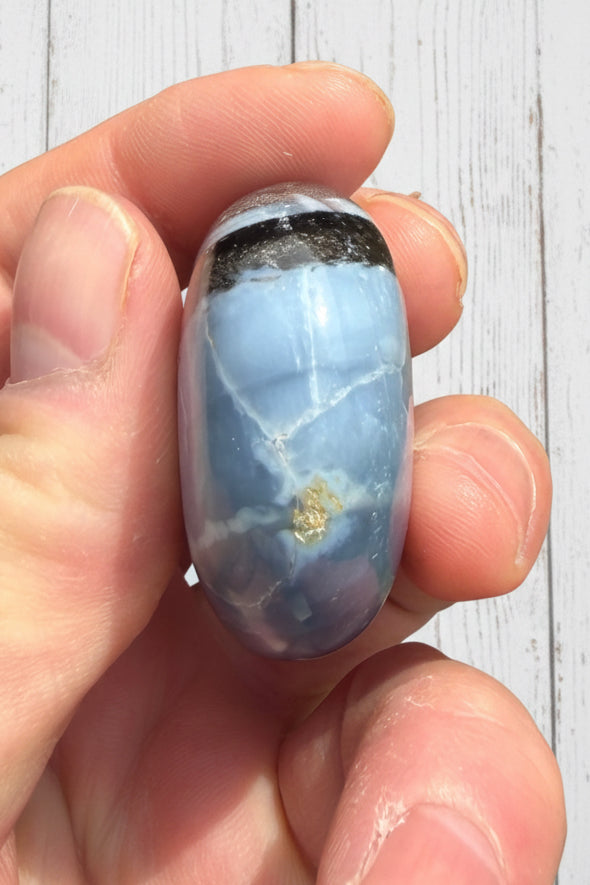 Owyhee Blue Opal Palmstone 50 grams BOP14