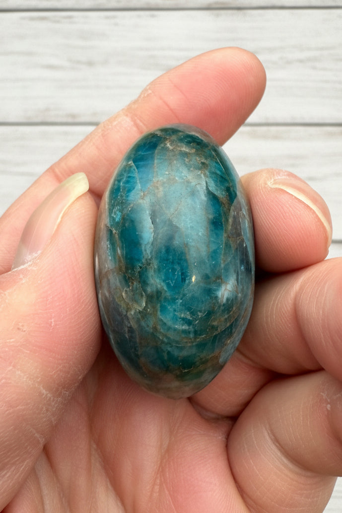Blue Apatite Palmstone 83 grams NBAP13