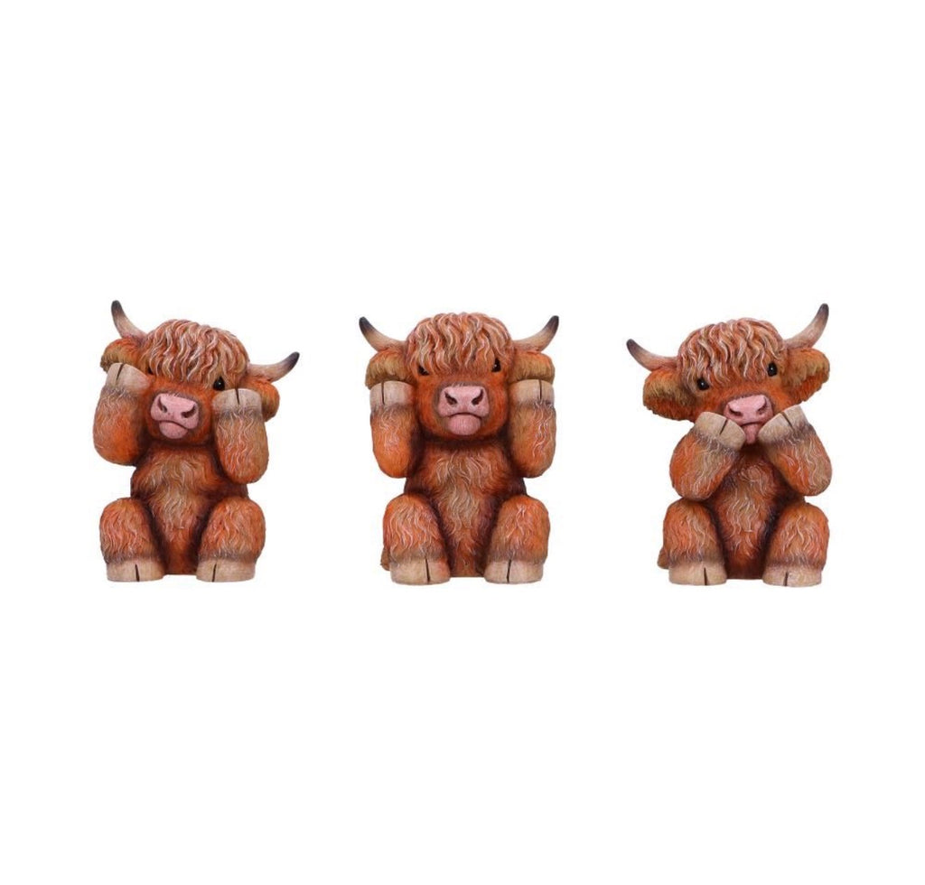 Three Wise highland Cows set of 3 9.6cm