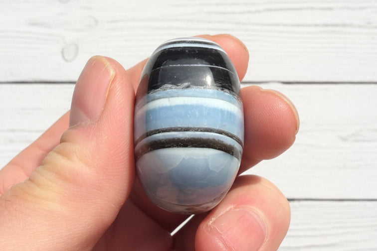 Owyhee Blue Opal Palmstone 74 grams BOP13