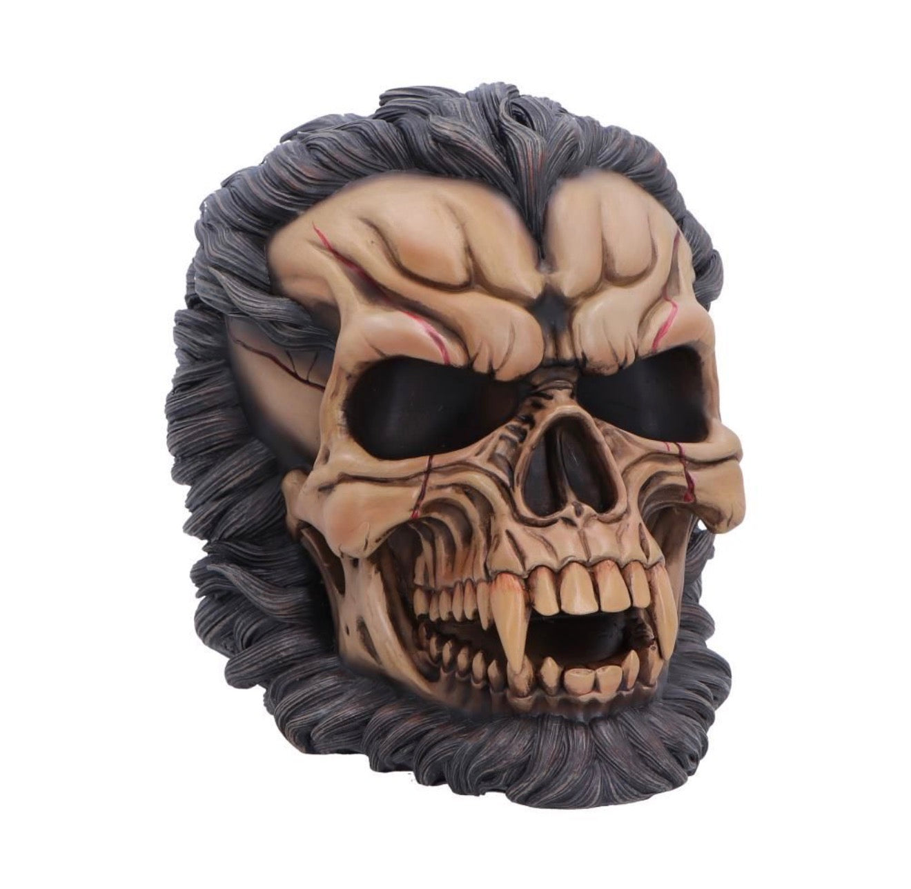 Hall of Horrors: The Beast of the Moon Werewolf Skull 16cm