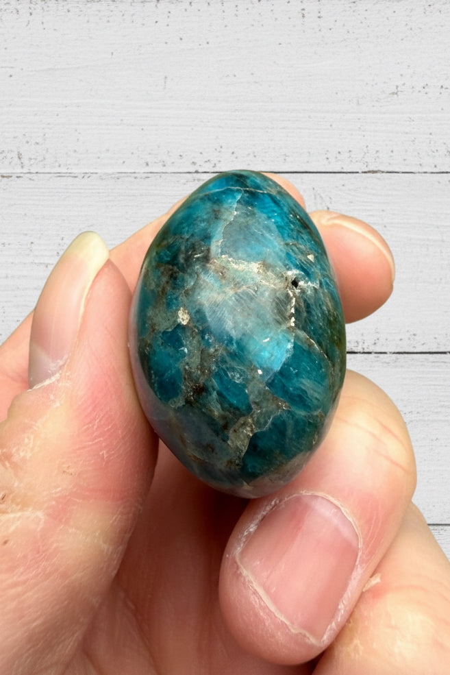 Blue Apatite Palmstone 78 grams NBAP11