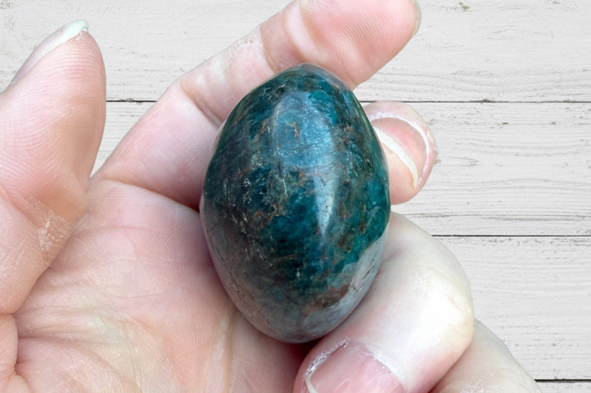 Blue Apatite Palmstone 98 grams NBAP06