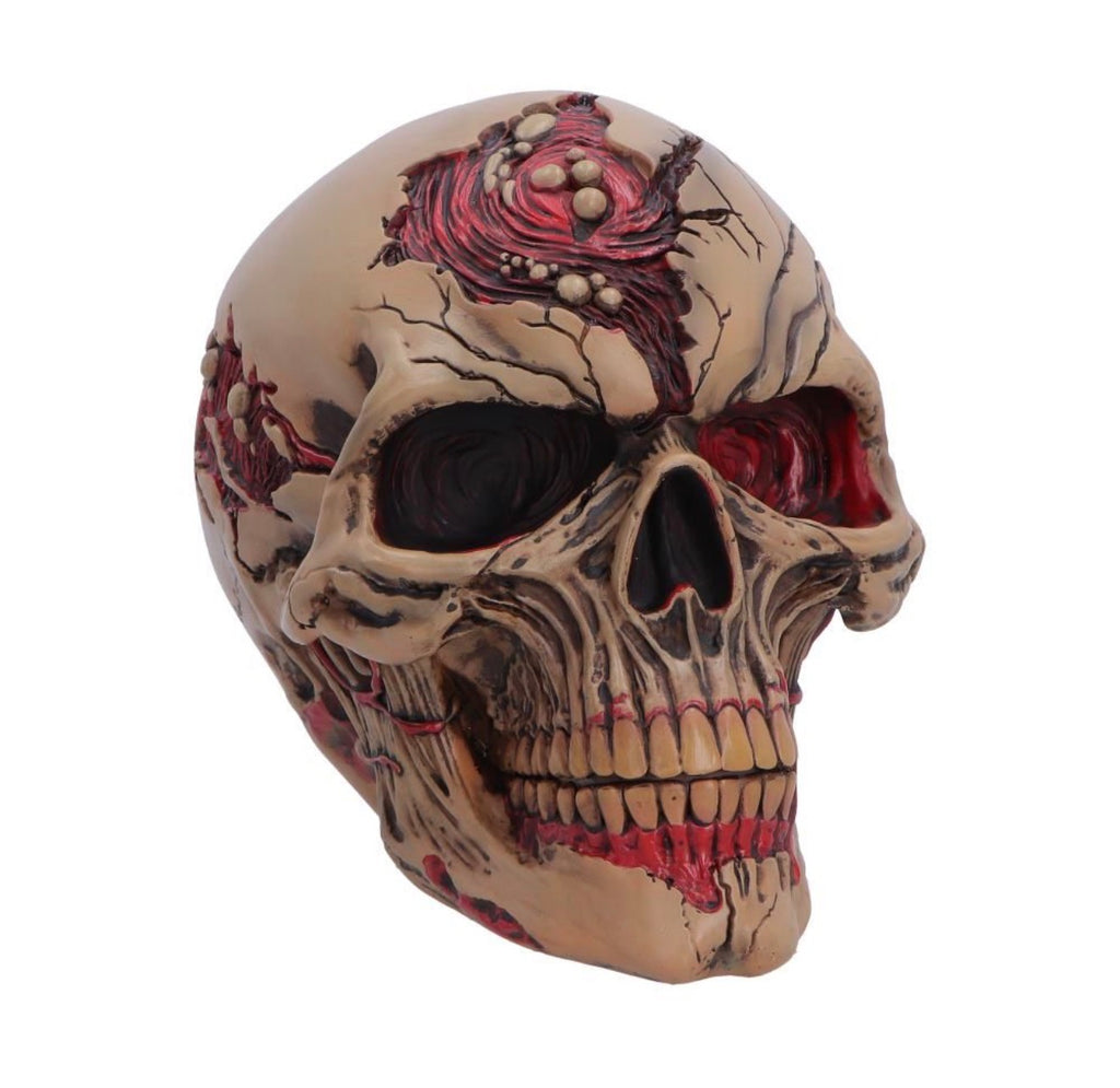 Hall of Horrors: The Walker of Death Zombie Skull 15.5cm