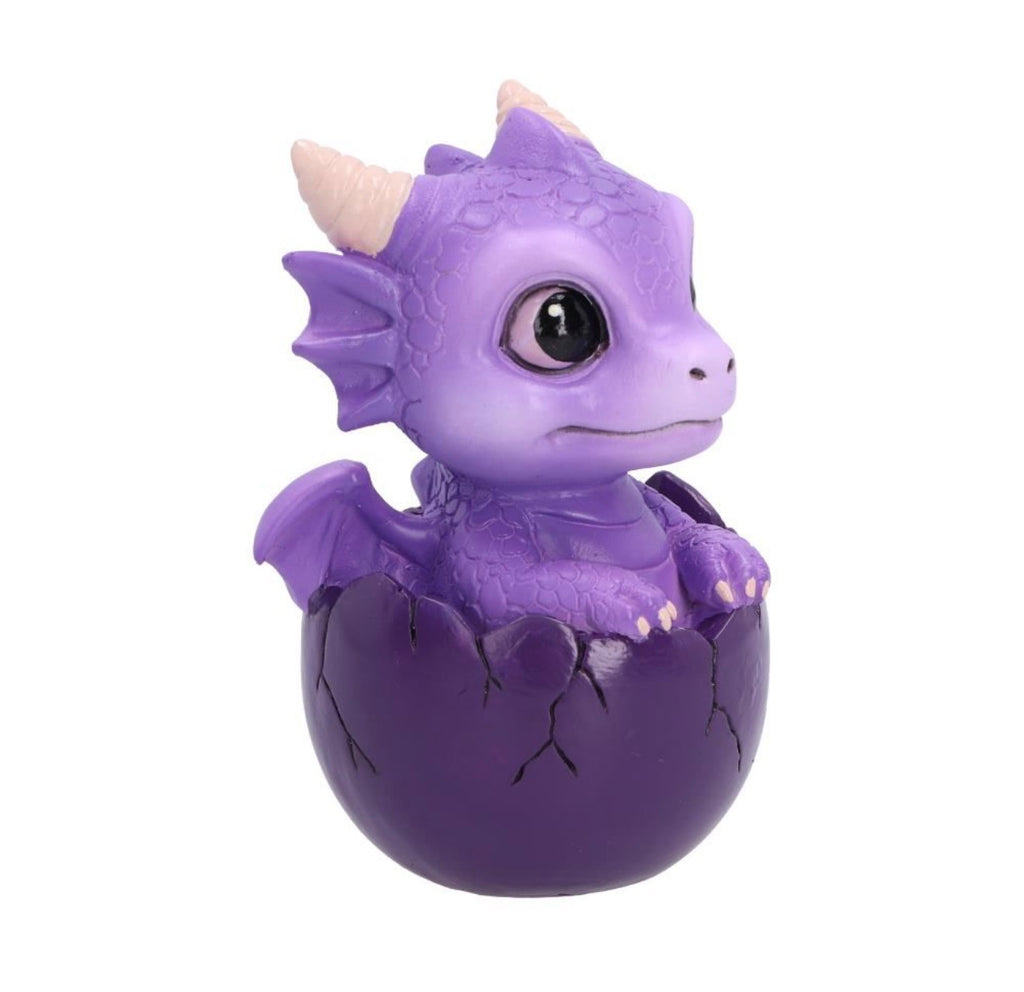 Shellbound (purple) Baby Dragon in Egg Ornament 8.6cm