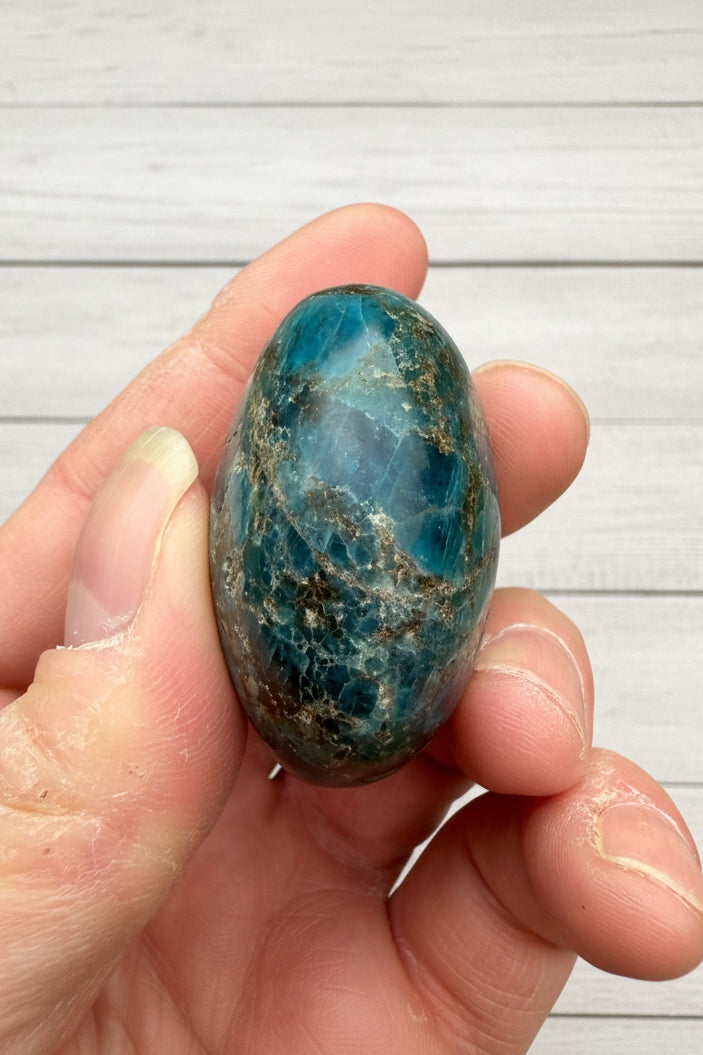 Blue Apatite Palmstone 72 grams NBAP14
