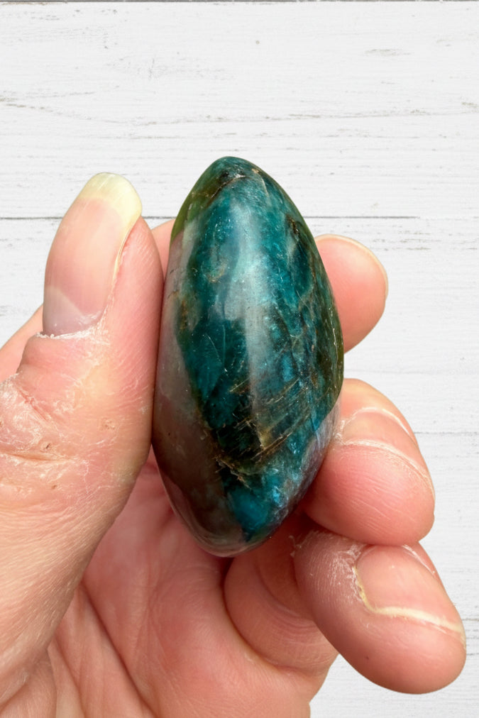 Blue Apatite Palmstone 83 grams NBAP09