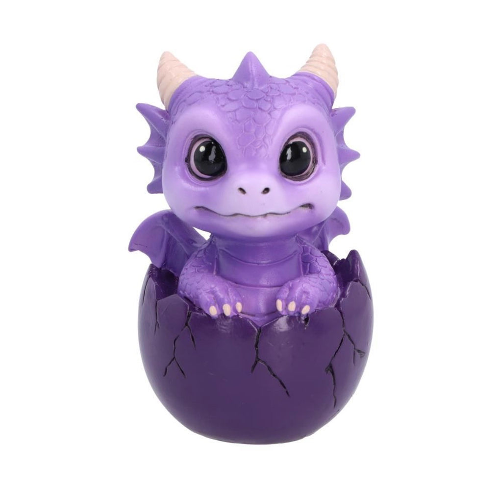 Shellbound (purple) Baby Dragon in Egg Ornament 8.6cm