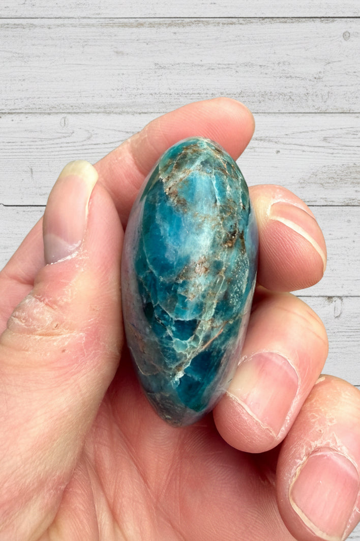 Blue Apatite Palmstone 90 grams NBAP08