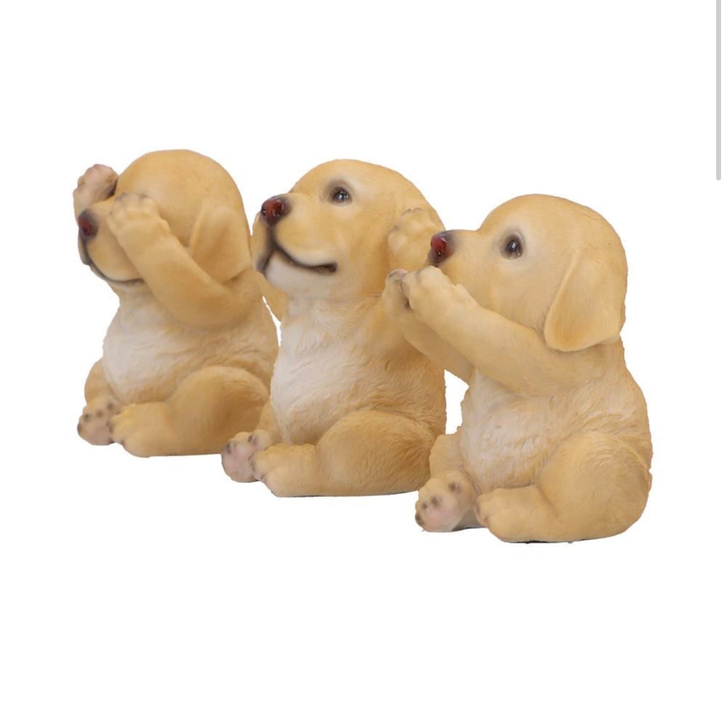 Three Wise Golden Labradors See No Evil Set 7.5cm