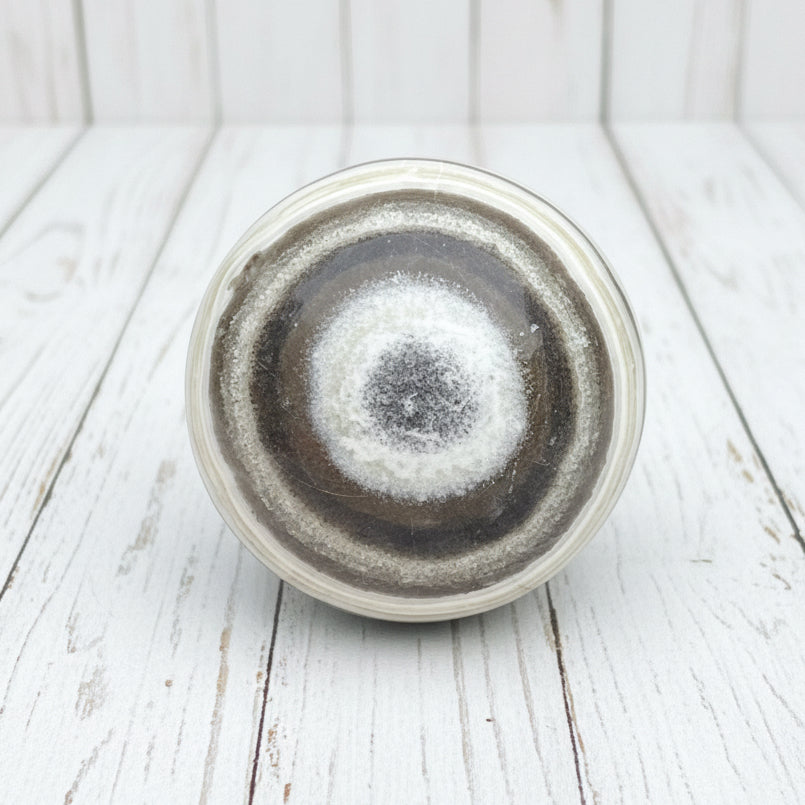 Zebra calcite Sphere 207 grams ZCS02