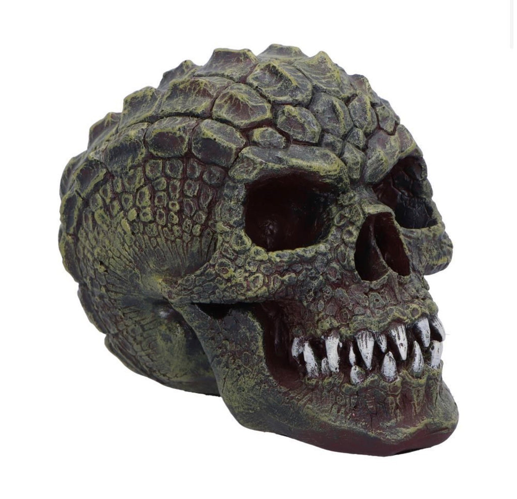Reptilian Skull 17cm