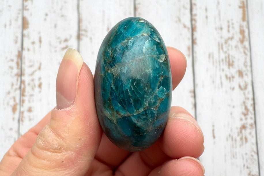 Blue Apatite Palmstone 78 grams NBAP11