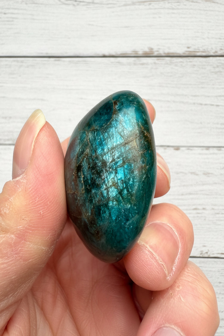 Blue Apatite Palmstone 83 grams NBAP09