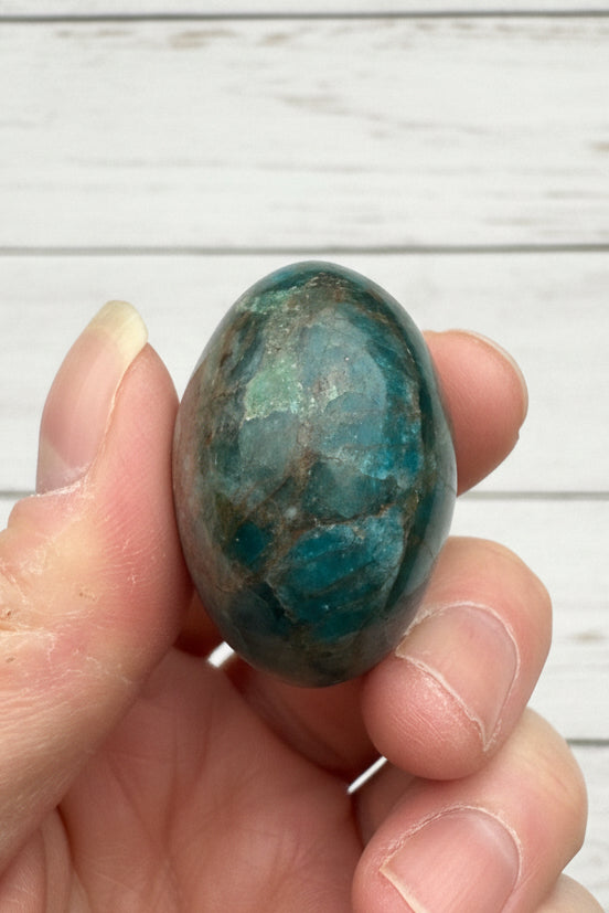 Blue Apatite Palmstone 83 grams NBAP13