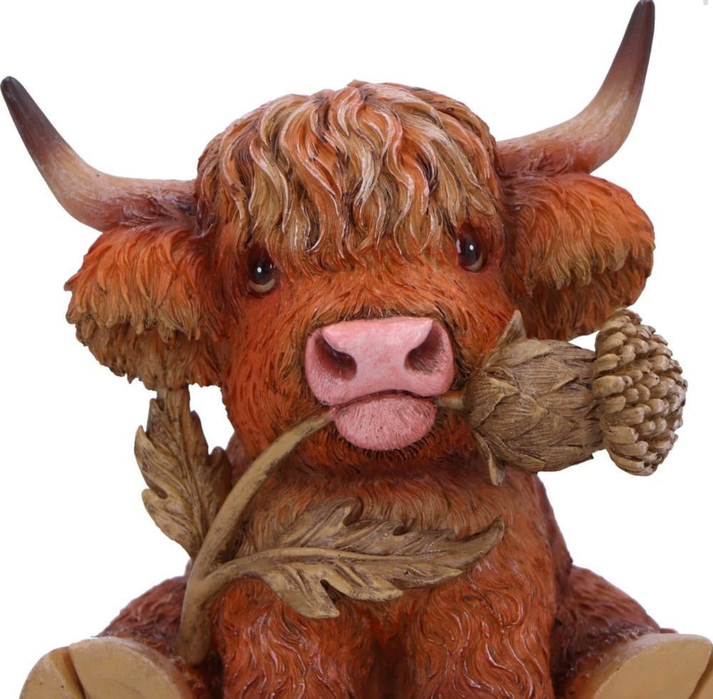 Highland Thistle Highland cow Ornament 10.5cm