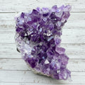 Amethyst Cluster Bed 320 grams AMC10