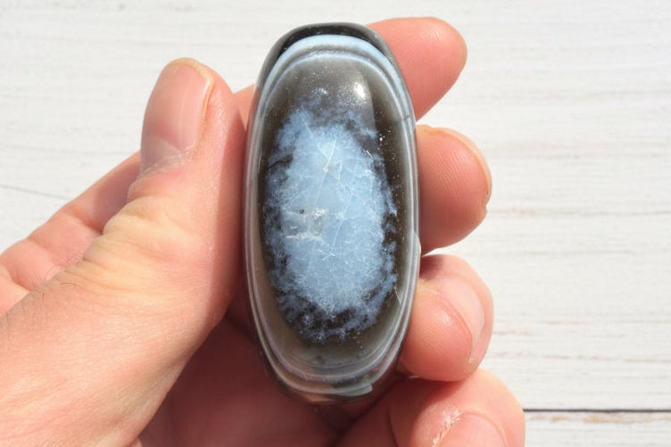 Owyhee Blue Opal Palmstone 74 grams BOP13