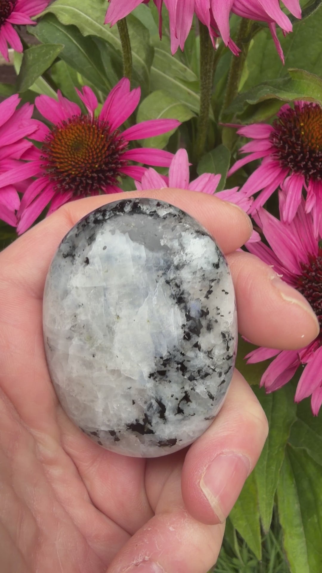 Rainbow Moonstone Palmstone 103 grams RMP04