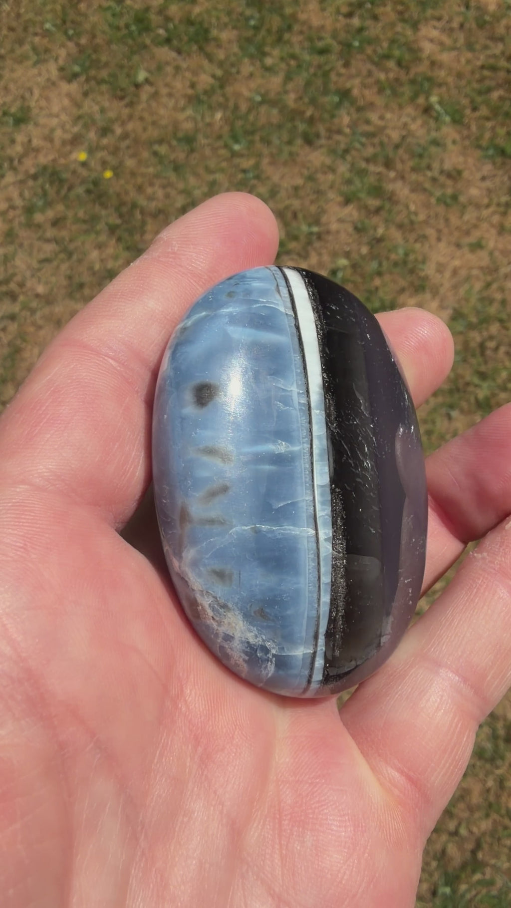 Owyhee Blue Opal Palmstone 92 grams BOP01