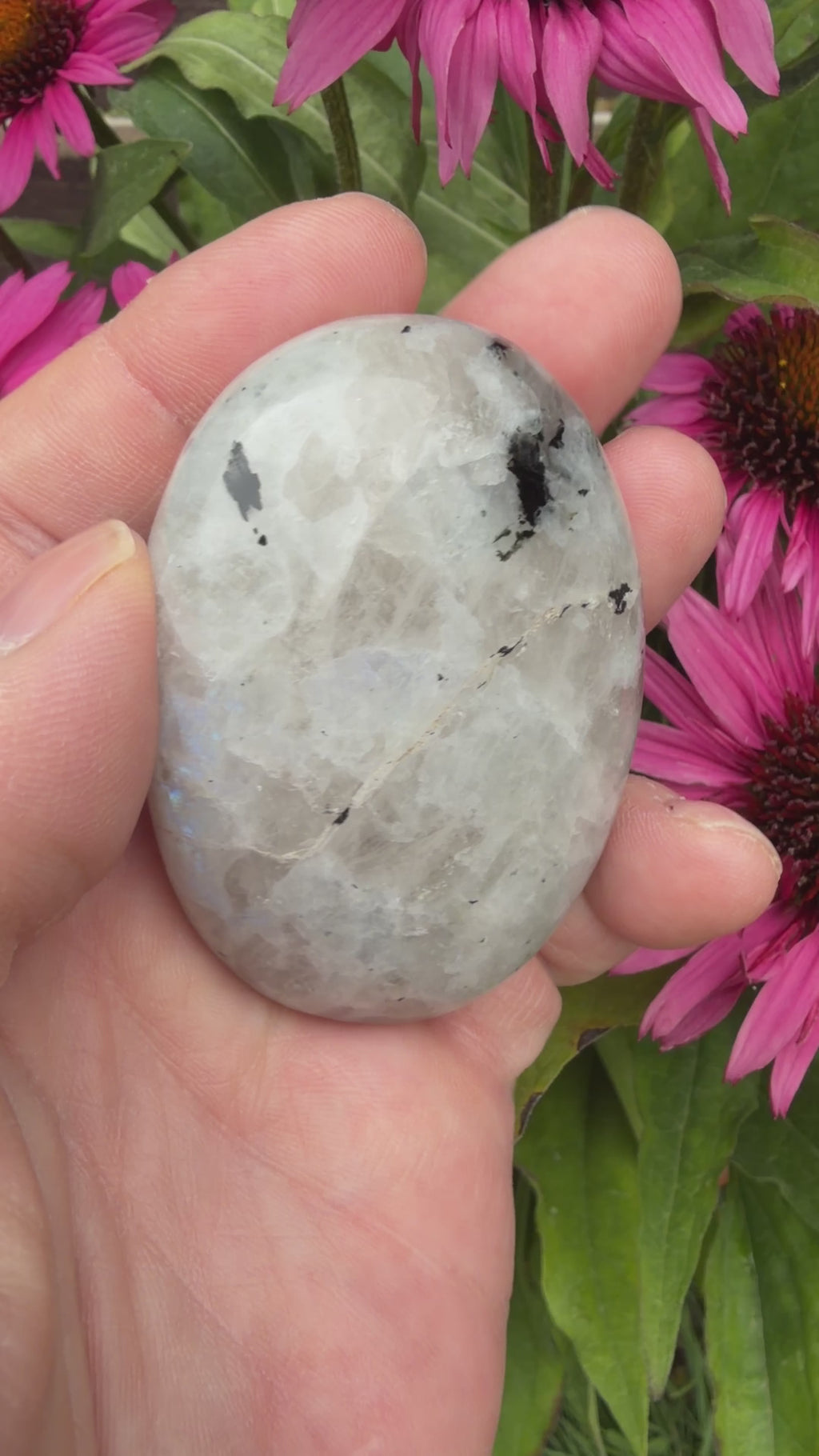 Rainbow Moonstone Palmstone 121 grams RMP01
