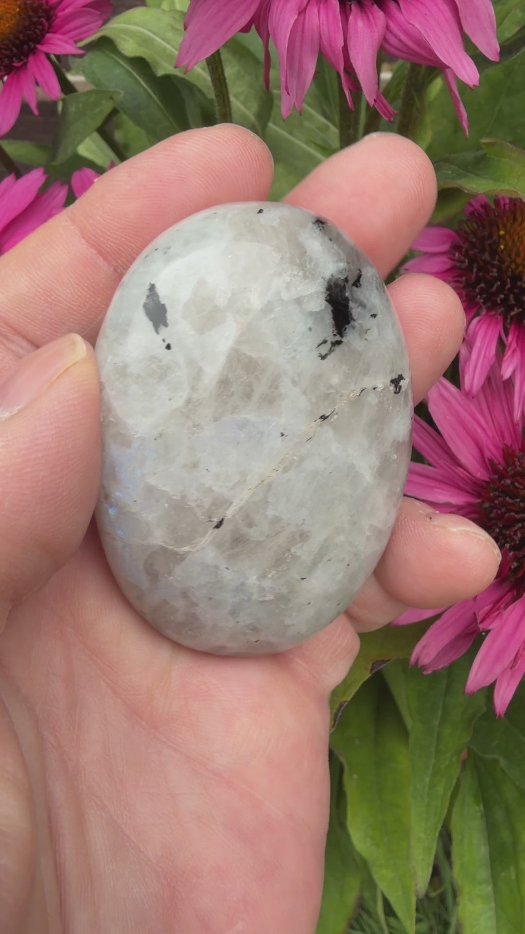 Rainbow Moonstone Palmstone 121 grams RMP01