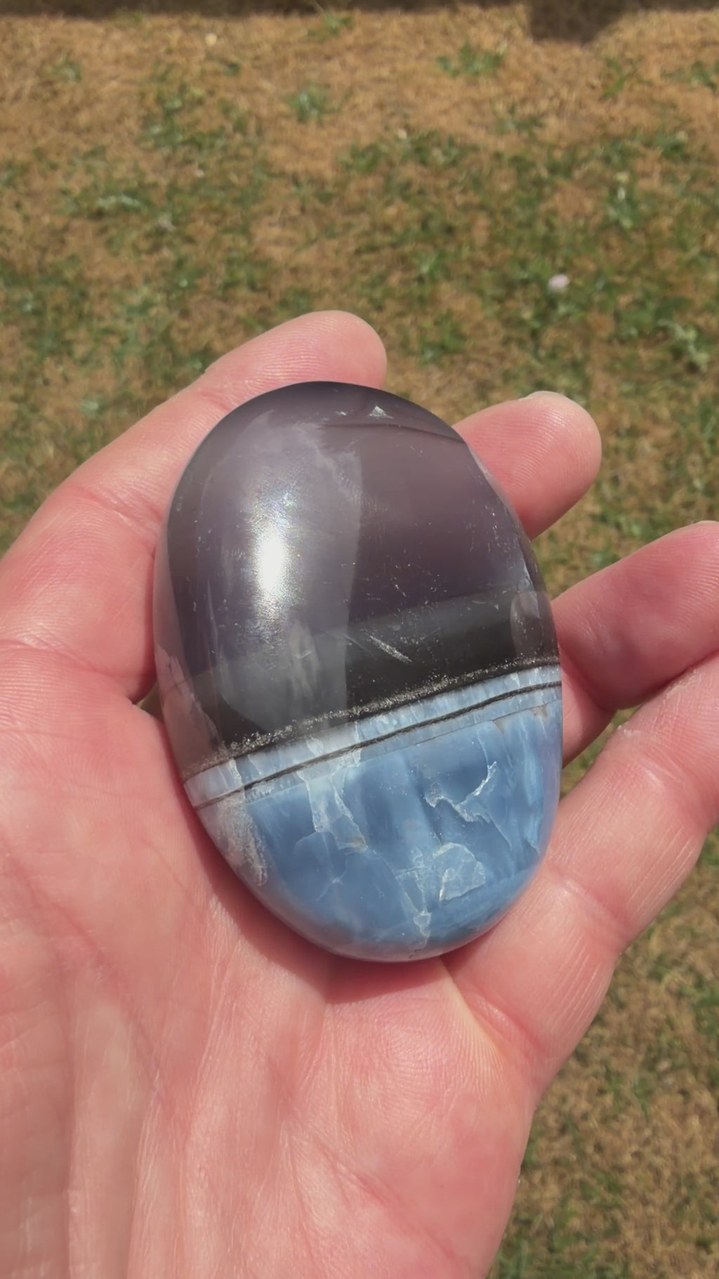 Owyhee Blue opal Palmstone 103 grams BOP02